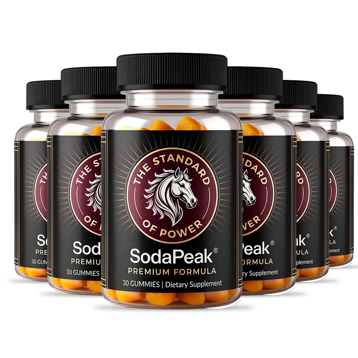 SodaPeak 6-bottle package